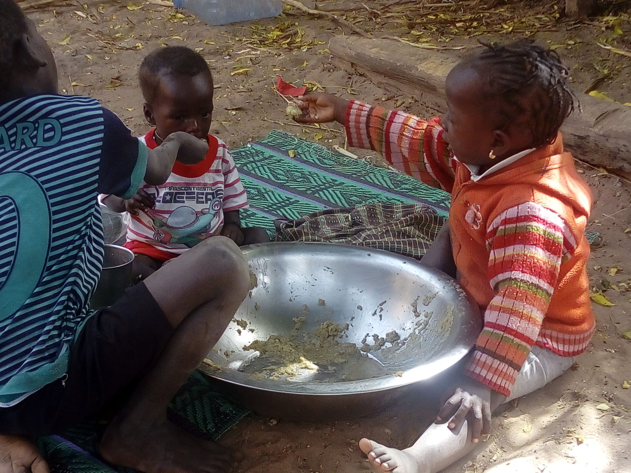 Explorando Ndodk: Un Día de Descubrimiento en Senegal